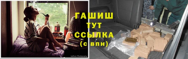 сатива Липки