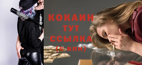 сатива Липки
