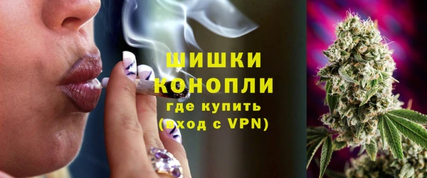 сатива Липки
